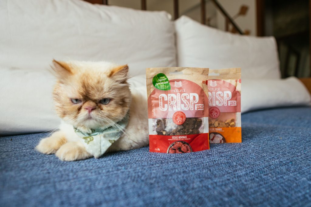 Gato deitado no sofá ao lado de Petiscos Natural Crisp – Iscas bovinas e iscas de frango enviados no BOX.Petiko