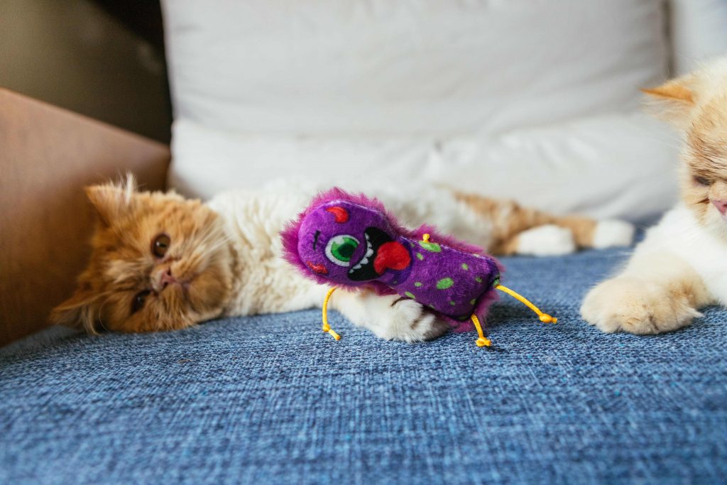 Gato deitado no sofá com brinquedo de pelúcia Monstrinho Blop enviado no BOX.Petiko