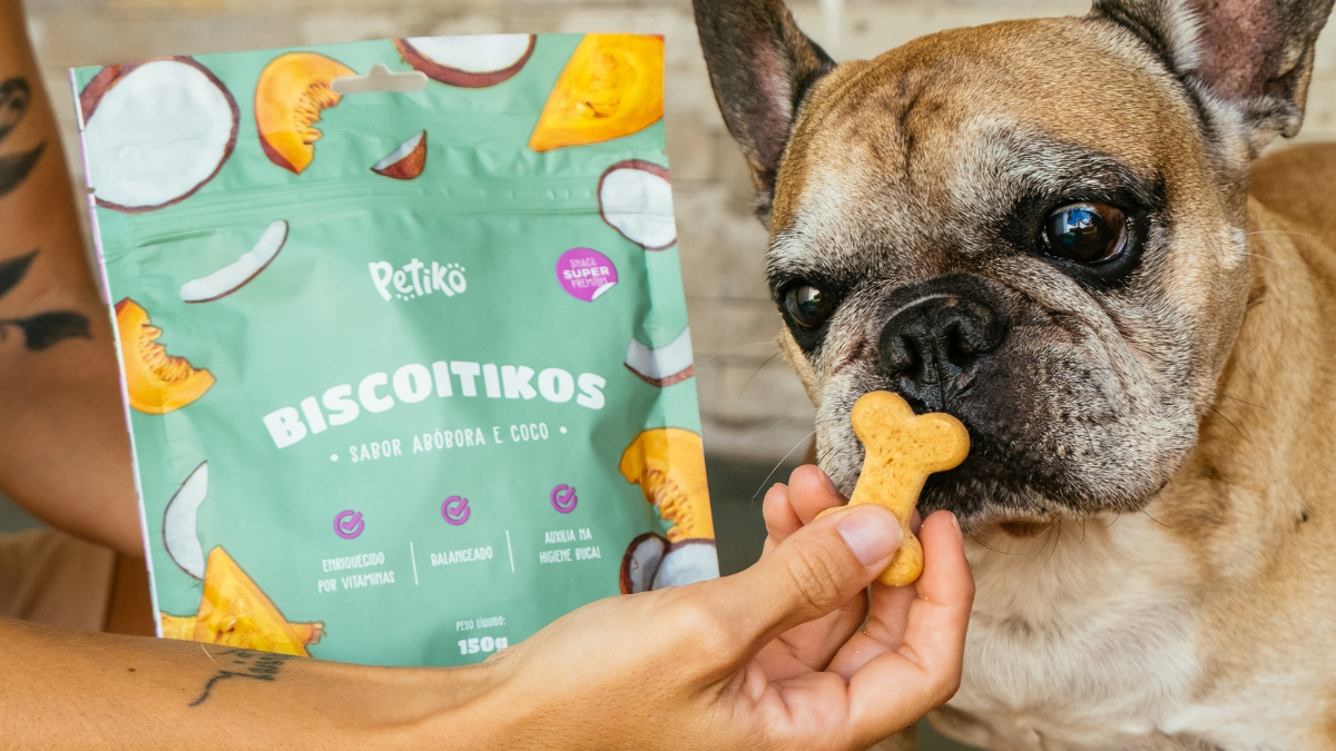 Brinquedos que ajudam no enriquecimento olfativo