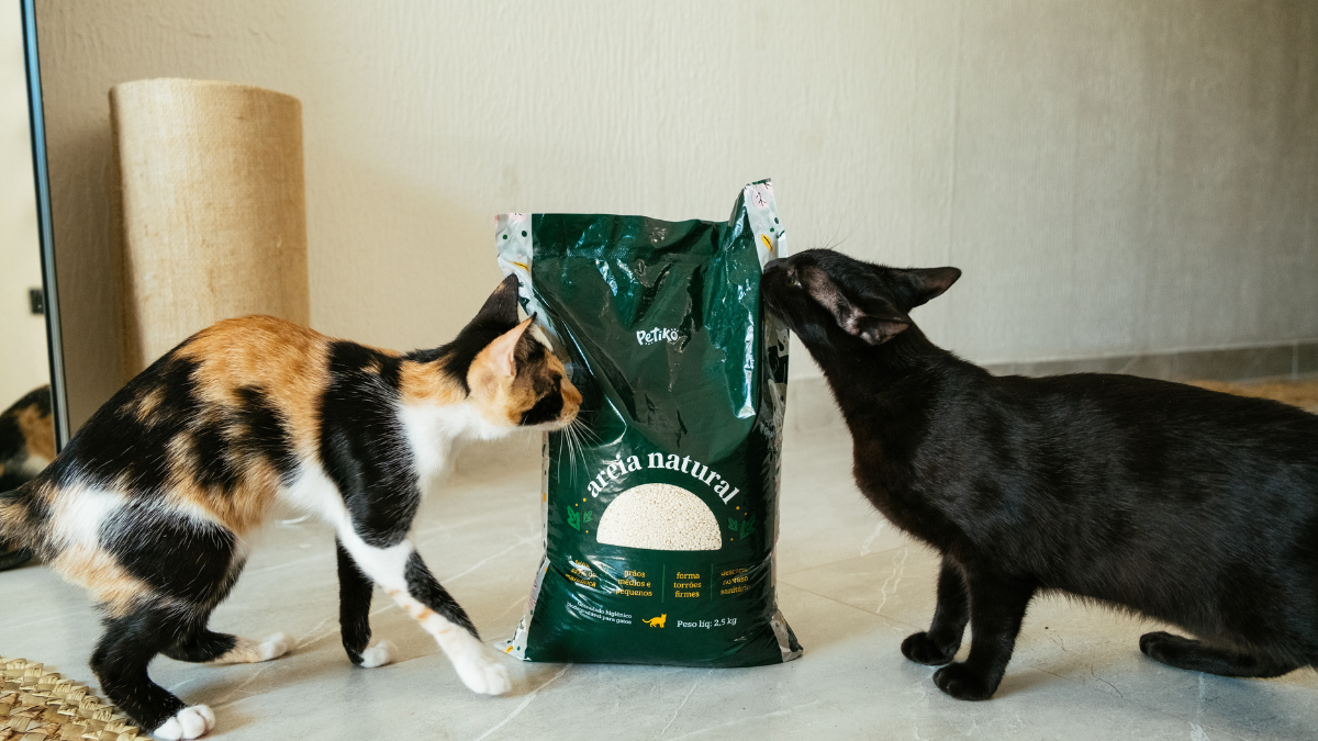 Areia de mandioca: mais conforto e menos impacto para o seu gato