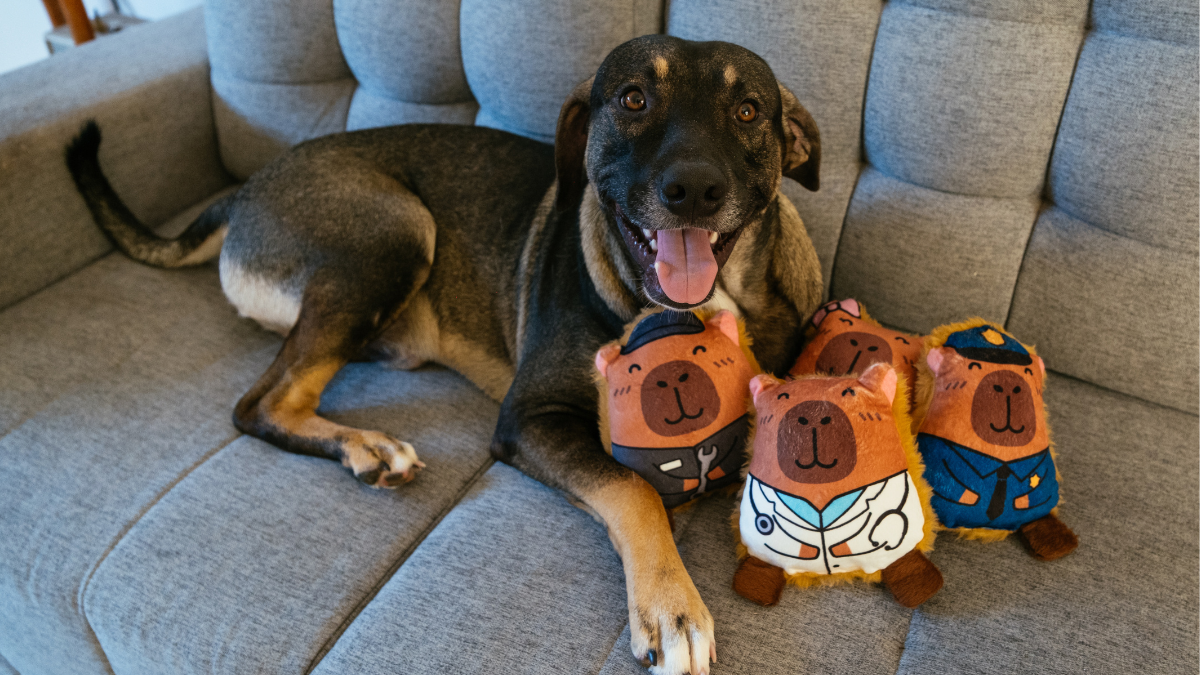 Capivarias Petiko: a coleção mais brasileira de 2025