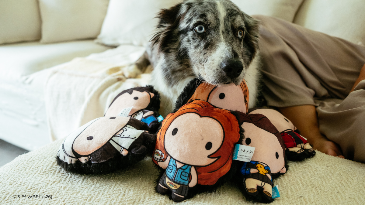 Petiko apresenta coleção oficial de Friends e leva a nostalgia da série para o mundo pet