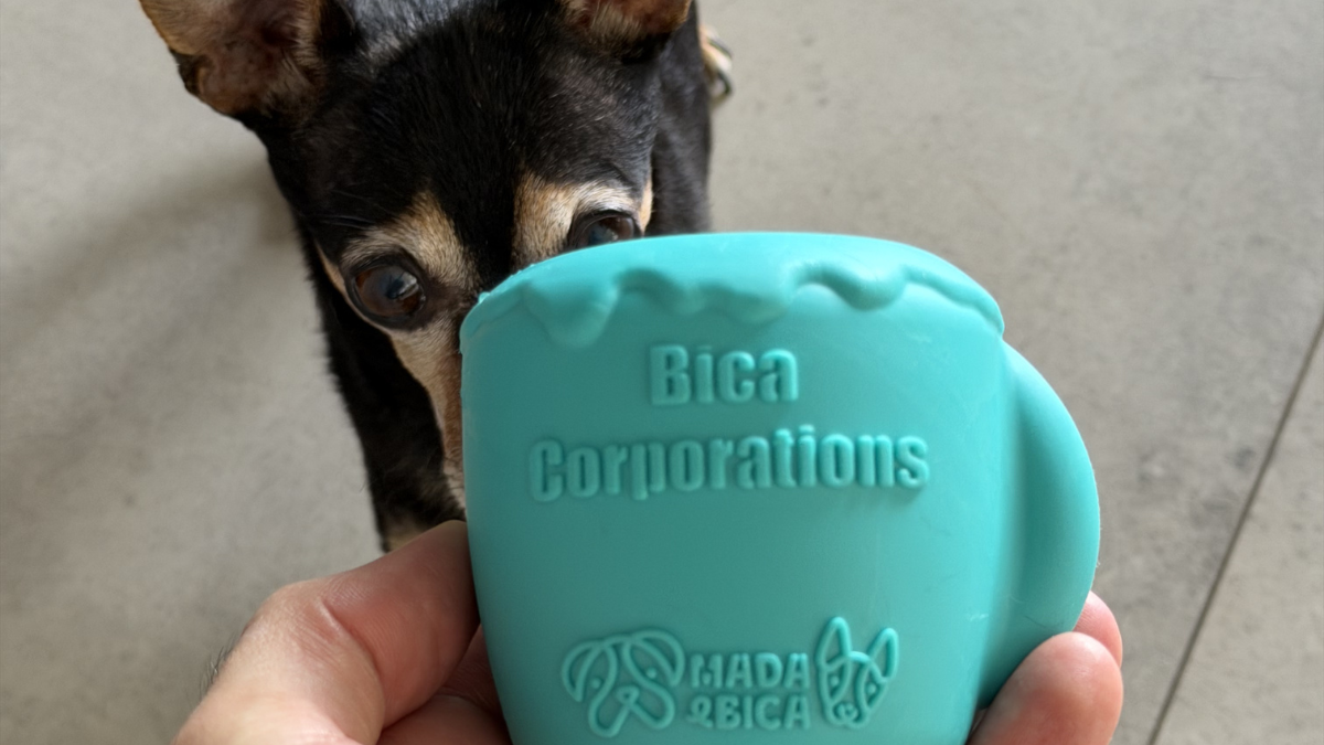 Pets na Firma: o BOX de fevereiro levou o clima do escritório para a rotina dos pets