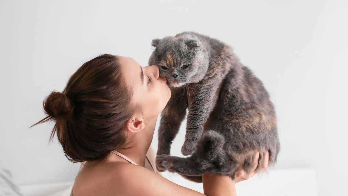 Por que os gatos demonstram amor de formas diferentes?