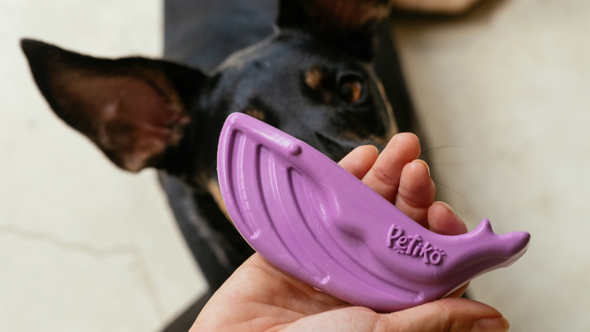 Os brinquedos são essenciais para a saúde mental dos cães?