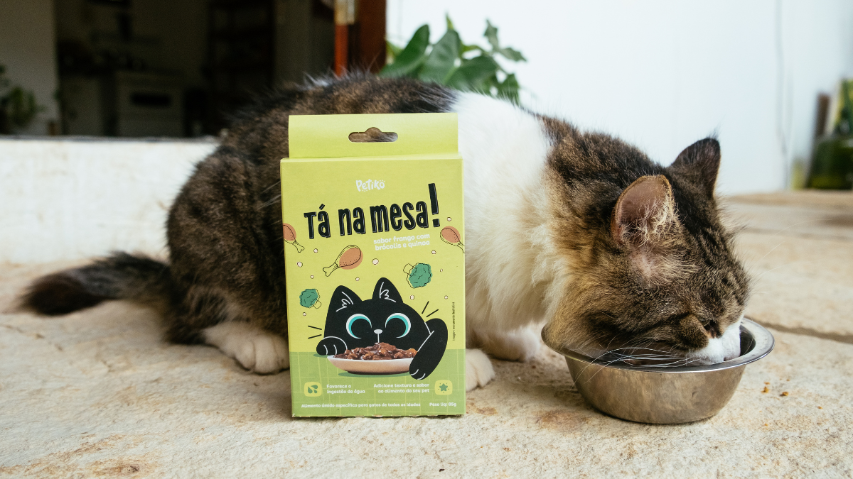 Alimento úmido para gatos: quais as vantagens?