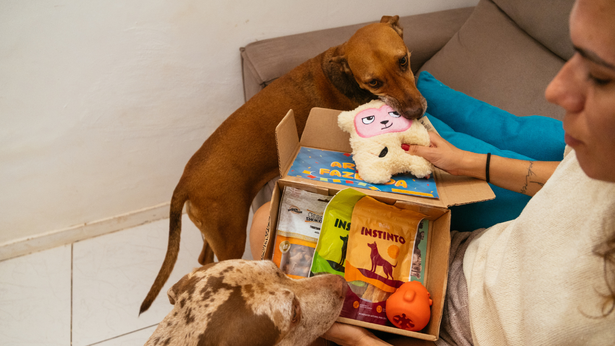 Por que a Petiko tem temas do BOX que voltam todo ano?